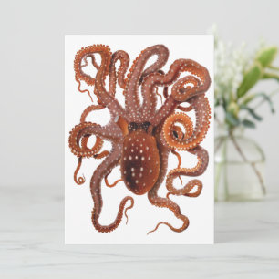 Octopus Macropus, Vintage Meeresaquarien Tiere