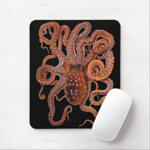 Octopus Macropus, Vintage Meeresaquarien Tiere Mousepad