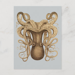 Octopus Marmoratus (blau) Postkarte