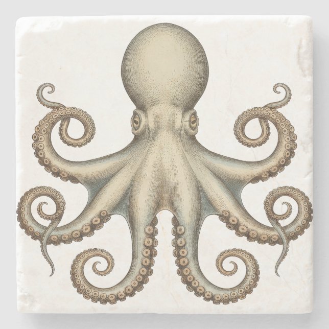 Octopus scientific diagram unique artwork retro  steinuntersetzer (Vorderseite)