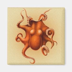 Octopus Sea Monster Kreatur Cephalapod Vintag Magnet
