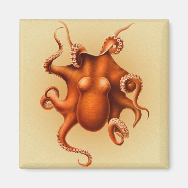 Octopus Sea Monster Kreatur Cephalapod Vintag Magnet (Vorne)