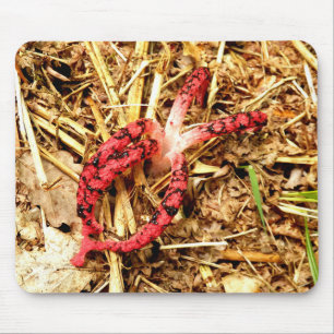 Octopus Stinkhorn Mouse Mat Mousepad