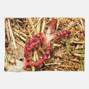 Octopus Stinkhorn Tea Towel Küchentuch
