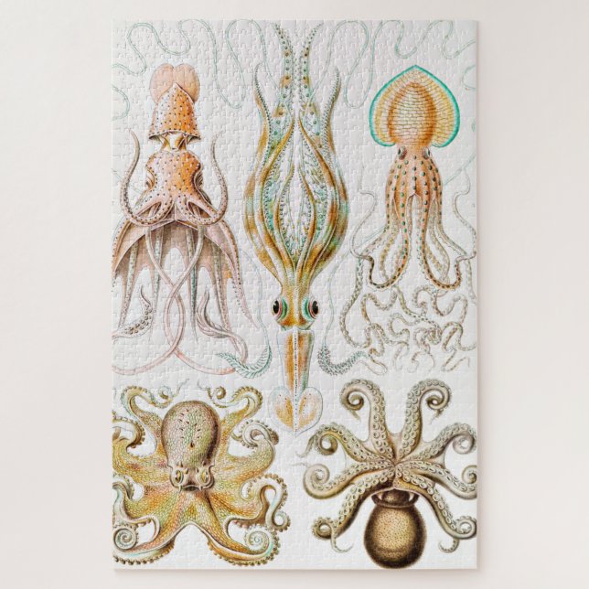 Octopus-Tintenfisch, Gamochonia von Ernst Haeckel (Vertikal)