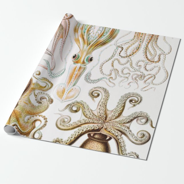 Octopus-Tintenfisch, Gamochonia, von Ernst Haeckel Geschenkpapier (Ungerollt)