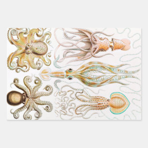 Octopus-Tintenfisch, Gamochonia, von Ernst Haeckel Geschenkpapier Set