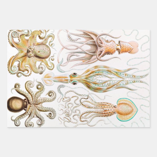 Octopus-Tintenfisch, Gamochonia, von Ernst Haeckel Geschenkpapier Set (Vorderseite)