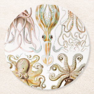 Octopus-Tintenfisch, Gamochonia, von Ernst Haeckel Runder Pappuntersetzer