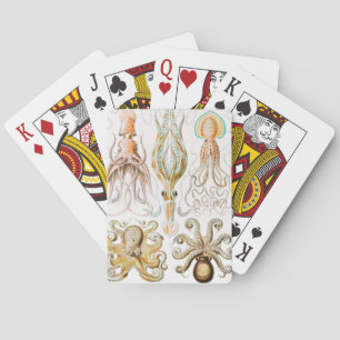 Octopus-Tintenfisch, Gamochonia, von Ernst Haeckel Spielkarten