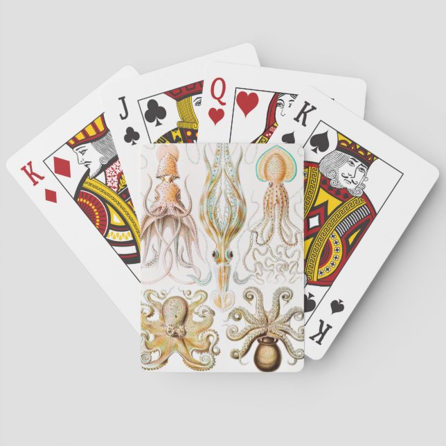 Octopus-Tintenfisch, Gamochonia, von Ernst Haeckel Spielkarten (Rückseite)