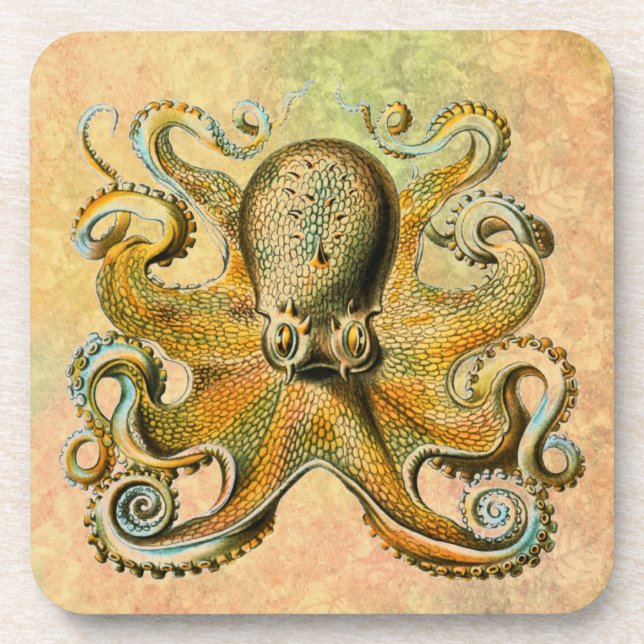 Octopus-Untersetzer Getränkeuntersetzer (Vorderseite)