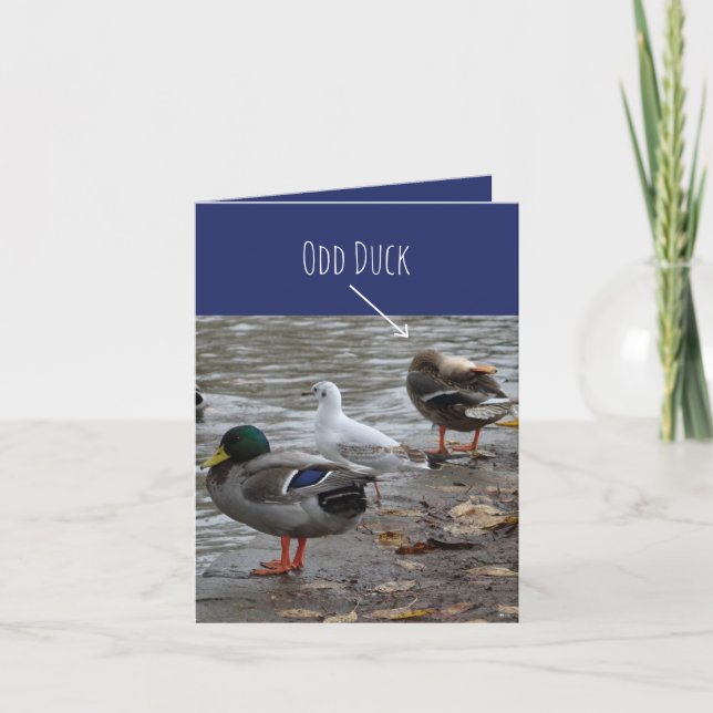 Odd Duck Happy Birthday Card Karte (Vorderseite)