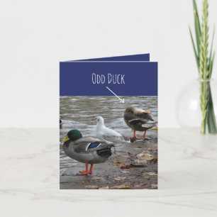 Odd Duck Happy Birthday Card Karte