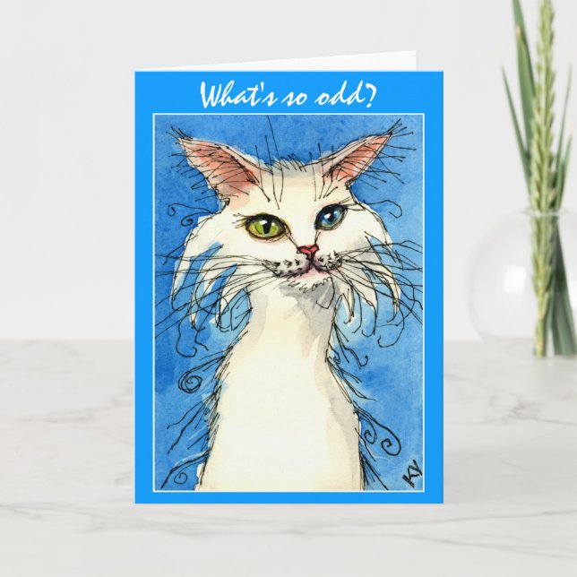 Odd-eyed white cat on blue greeting card karte (Vorderseite)