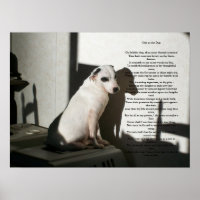 Ode zum Hund