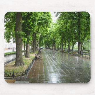 Odessa-Park (3) Mousepad
