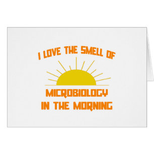 Odeur de microbiologie le matin