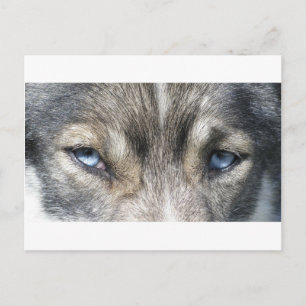 Odins Augen Postkarte