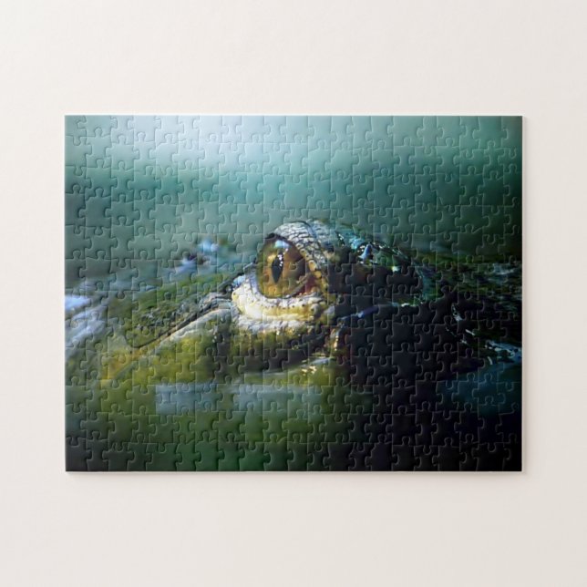 Oeil de crocodile, puzzle (Horizontal)