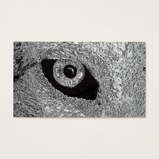 oeil de loup