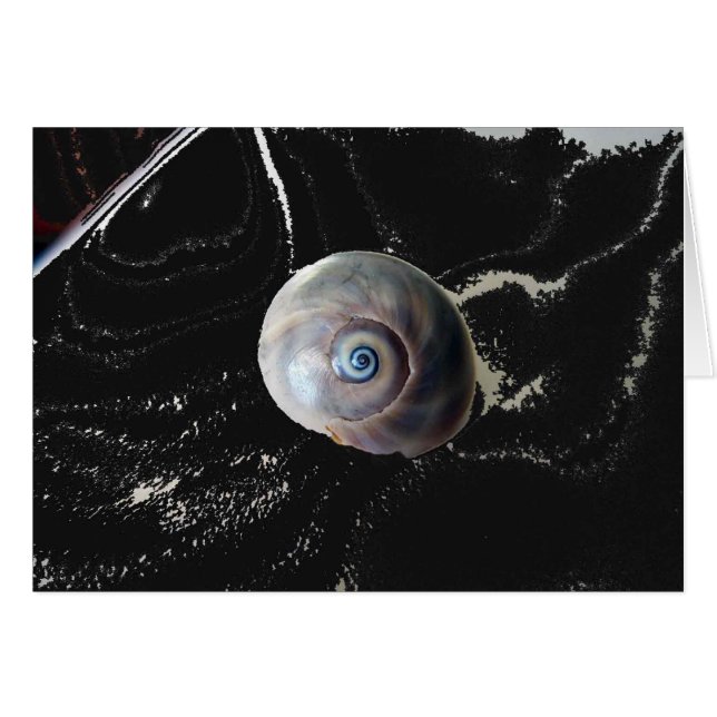 Oeil de requin 2 (Devant horizontal)