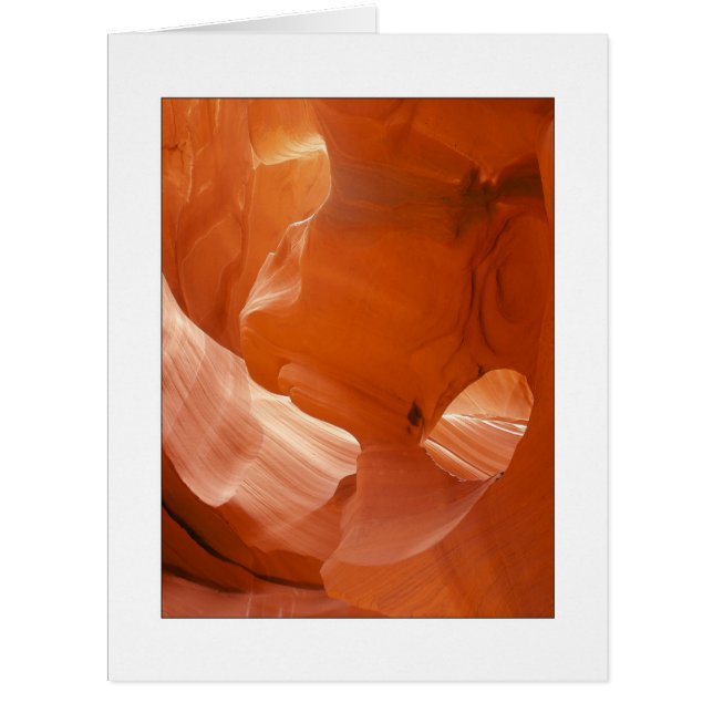 "Oeil d'Eagle " (Devant)