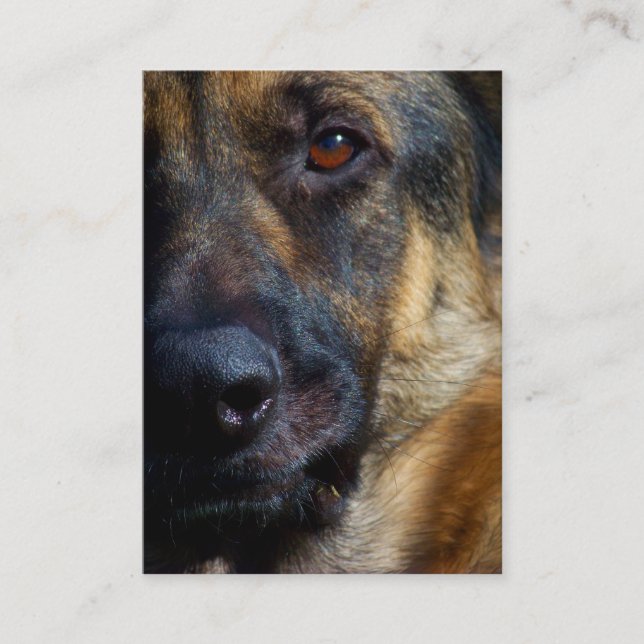 Oeil des cartes de visite de berger (Devant)