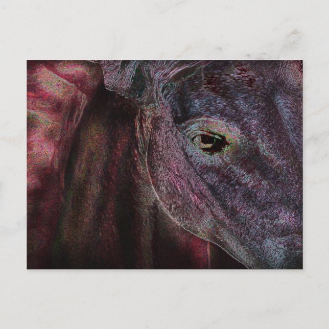 OEil du titulaire - Carte postale (Devant)