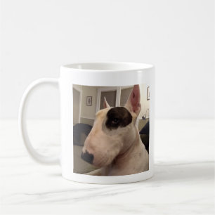 Oeil latéral Tasse Rex