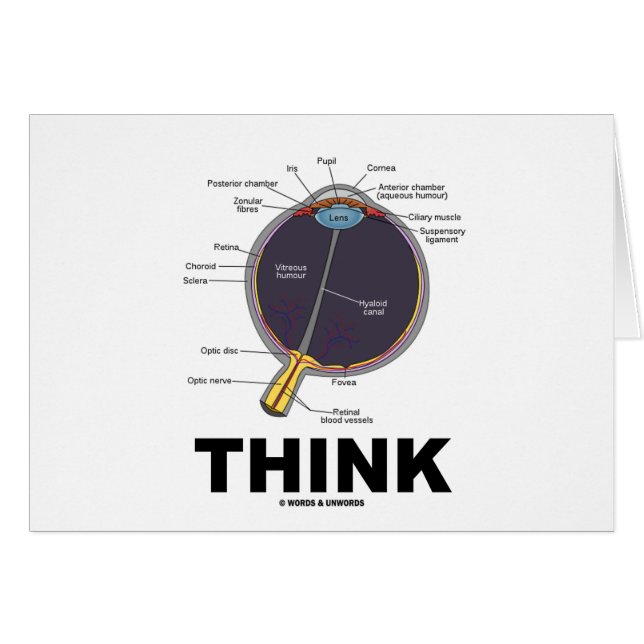 (Oeil) Pensez (Humour anatomique) (Devant horizontal)