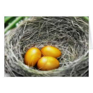 Oeufs de nid d'or