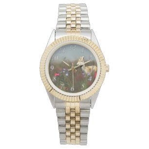 Oeufs de poisson dans une montre de pré