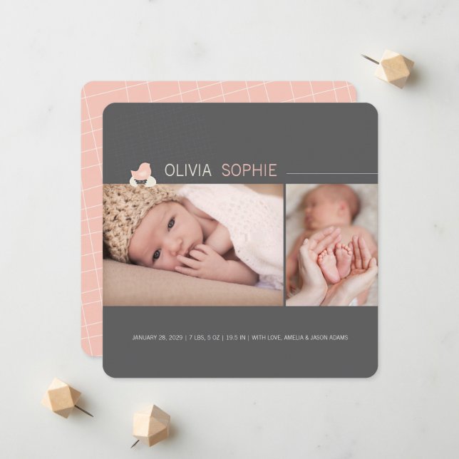 Oeufs éclos bébé poussette Faire-part de naissance (Devant/Arrière en situation)