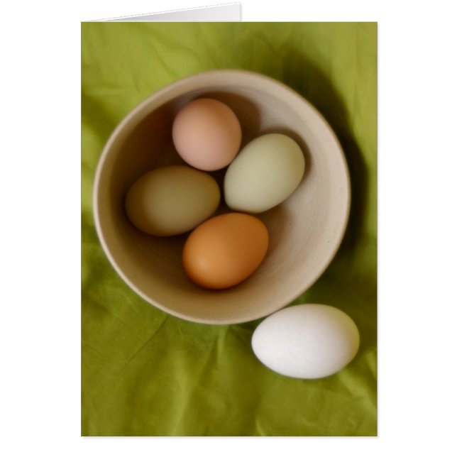 Oeufs naturels (Devant)