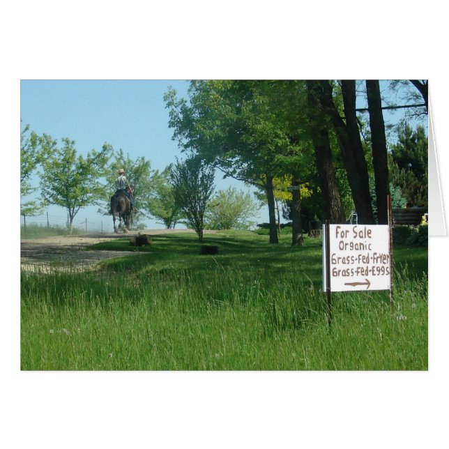 OEufs organiques à base d'herbes (Devant horizontal)