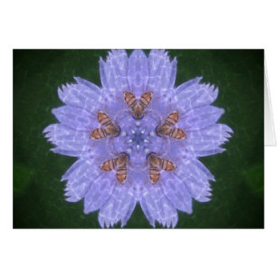 Oeufs sauvages avec abeilles