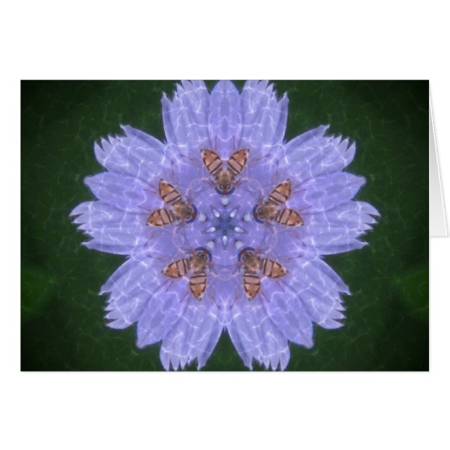 Oeufs sauvages avec abeilles (Devant Horizontal)