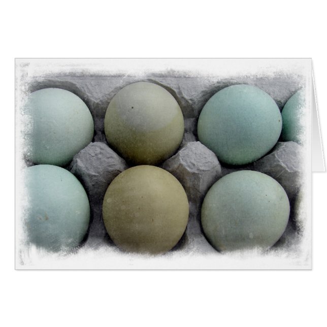 Oeufs verts (Devant horizontal)