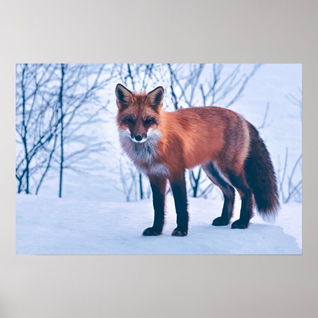 Oeuvre simple et élégante Red Fox | Poster (Devant)