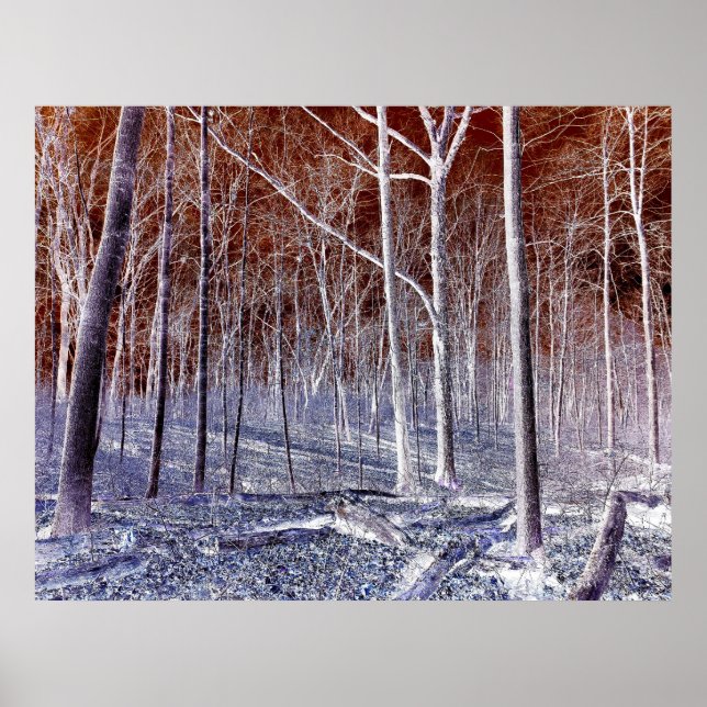 Off the Path version 2 Poster (Vorne)