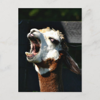 Offen Postkarte