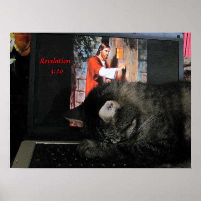 Offenbarung 3:20 mit betender Katze Poster (Vorne)