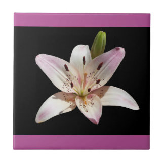Offene dekorative Lilienfliese Fliese