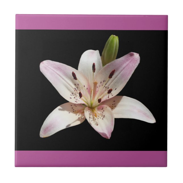 Offene dekorative Lilienfliese Fliese (Vorderseite)