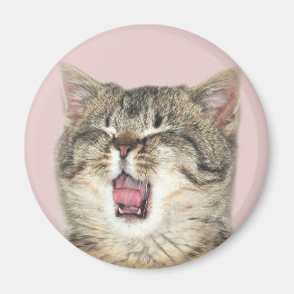 Offenes Mundkätzchen Magnet