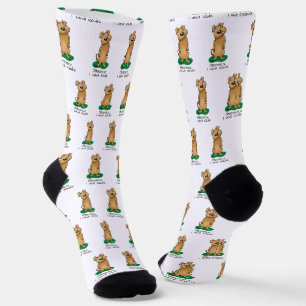 Offensichtlich habe ich Probleme - Funny Hund mit Socken