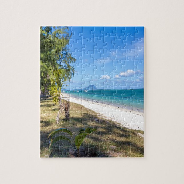 öffentlicher Strand von Flic en Flac Mauritius mit (Vertikal)