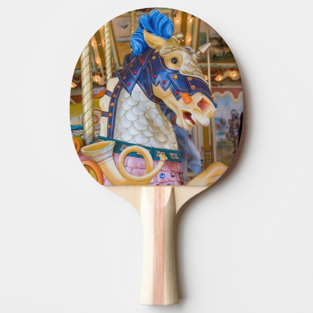 Öffentliches Museum für große Rapiden Tischtennis Schläger (Vorderseite)