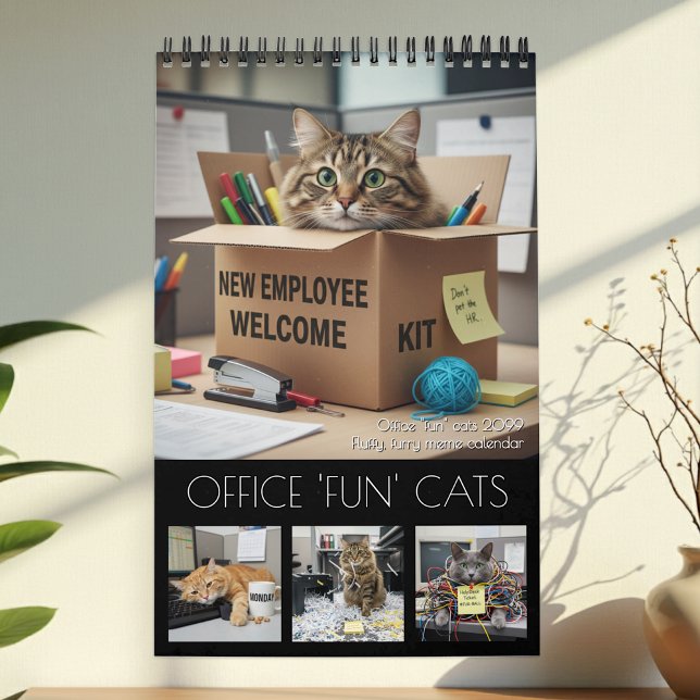 Office Fun Cats Calendar 2026 / Cat Photo Calendar Kalender (Office Fun Cats Calendar / cats meme photo)